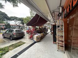 SIMS VISTA (D14), Shop House #478370121